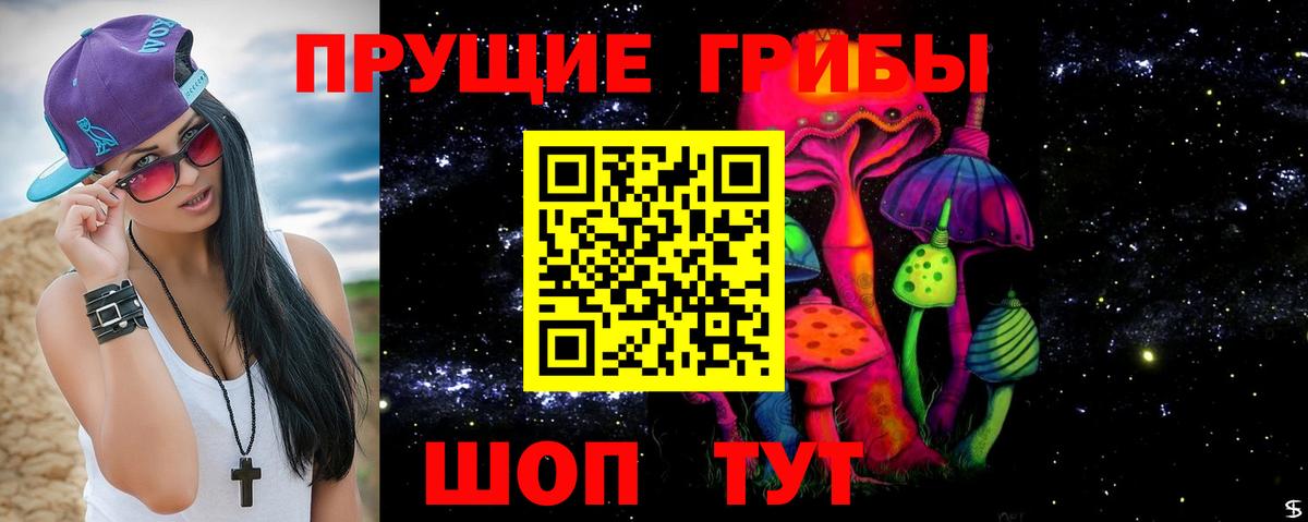 Нижнеудинск  Галлюциногенные грибы прущие грибы  где купить наркоту  Вход с VPN 