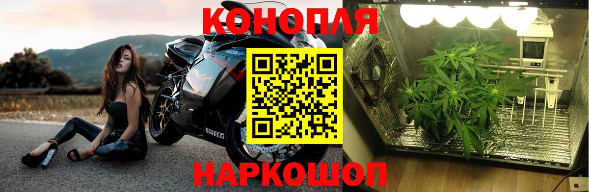МАРИХУАНА ГИДРОПОН  Канабис AK-47  Вход с VPN  Нижнеудинск  Каннабис тримм  Бошки Шишки Bruce Banner 